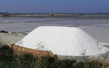 Margherita di Savoia