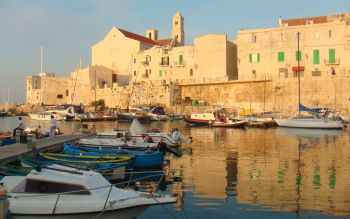Giovinazzo