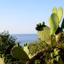 Villa Cefalù Villa Cefalù