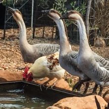 Agriturismo Trapani_farm Agriturismo Trapani_farm