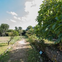 Agriturismo Trapani_park Agriturismo Trapani_park