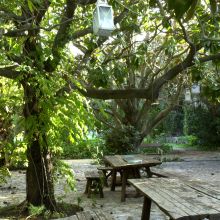 Agriturismo Trapani_magnolie Agriturismo Trapani_magnolie