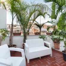 B&B ancient Palermo_terrace B&B ancient Palermo_terrace