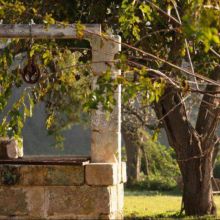 Sea&Country stay Baia dei Turchi_garden Sea&Country stay Baia dei Turchi_garden