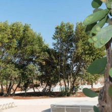 Sea&Country stay Baia dei Turchi_garden Sea&Country stay Baia dei Turchi_garden