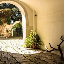 B&B Bari airport B&B Bari airport