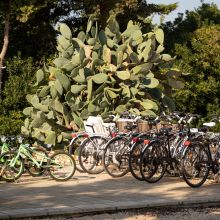 Sea&Country stay Baia dei Turchi_bikes Sea&Country stay Baia dei Turchi_bikes