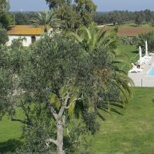 Agriturismo Brindisi-Lecce_view Agriturismo Brindisi-Lecce_view