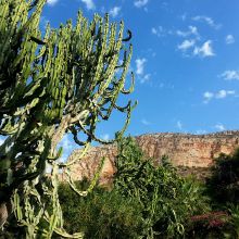 Agriturismo Trapani_view Agriturismo Trapani_view