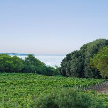 Sea&Country stay Baia dei Turchi_garden Sea&Country stay Baia dei Turchi_garden