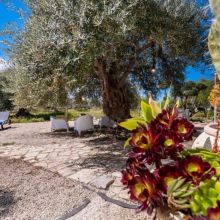 Charme Villas Noto_Villa Carrubo Charme Villas Noto_Villa Carrubo