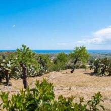 Charme Villas Noto_Villa Carrubo Charme Villas Noto_Villa Carrubo