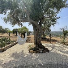 Charme Villas Noto_Villa Carrubo Charme Villas Noto_Villa Carrubo