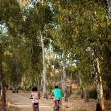 Residence Eraclea Minoa_wood Residence Eraclea Minoa_wood