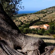 Vacation house Cefalù-Madonie Vacation house Cefalù-Madonie