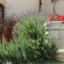 Agriturismo sea Noto Agriturismo sea Noto