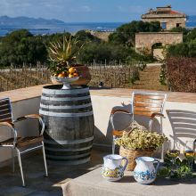 Winery resort Marsala_outdoor Winery resort Marsala_outdoor