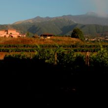 Wine country stay Etna_view Wine country stay Etna_view