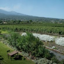 Wine country stay Etna Wine country stay Etna