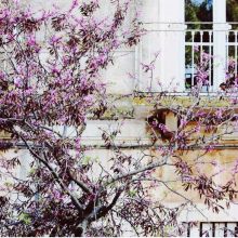 B&B Bari airport B&B Bari airport