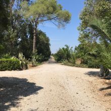 Agriturismo Brindisi-Lecce_entrance Agriturismo Brindisi-Lecce_entrance