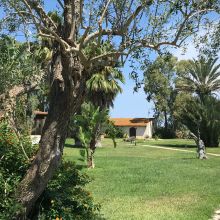 Agriturismo Brindisi-Lecce_country Agriturismo Brindisi-Lecce_country