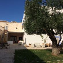 Country stay Ostuni_courtyard Country stay Ostuni_courtyard