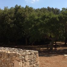 Country stay Ostuni_wood Country stay Ostuni_wood