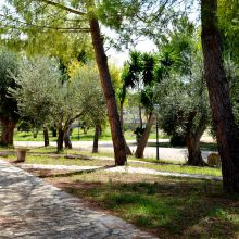 Apulian wine country stay Apulian wine country stay