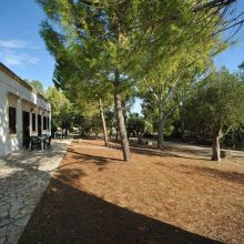 Apulian wine country stay Apulian wine country stay