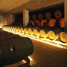 Wine country stay_Apulian winery Wine country stay_Apulian winery