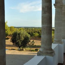 Apulian wine country stay Apulian wine country stay