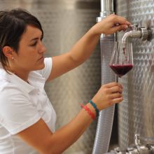 Wine country stay_Apulian winery Wine country stay_Apulian winery