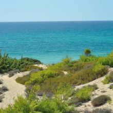 Wine country stay_beach Wine country stay_beach