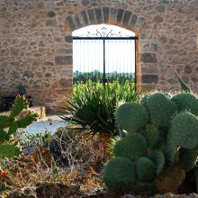 Winery resort Marsala Winery resort Marsala