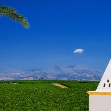 Winery resort Marsala_view Winery resort Marsala_view