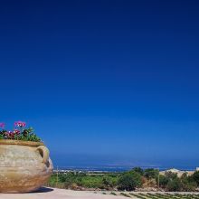 Winery resort Marsala_view Winery resort Marsala_view