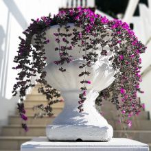 Country Hotel Peschici_detail Country Hotel Peschici_detail