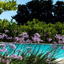 Agriturismo sea Noto_pool Agriturismo sea Noto_pool