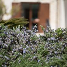 Residence Scala dei Turchi Residence Scala dei Turchi