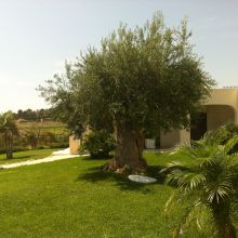 Residence Scala dei Turchi Residence Scala dei Turchi