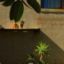 Agriturismo Siracusa Agriturismo Siracusa