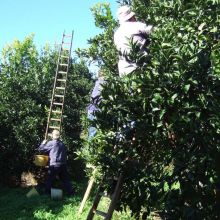 Agriturismo Siracusa Agriturismo Siracusa