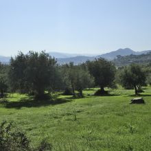 Apartments Sicily Tindari Marinello_view Apartments Sicily Tindari Marinello_view