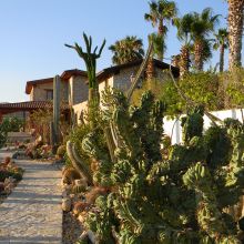 Agriturismo Valley of the temples Agriturismo Valley of the temples