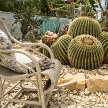 Agriturismo Valley of the temples Agriturismo Valley of the temples