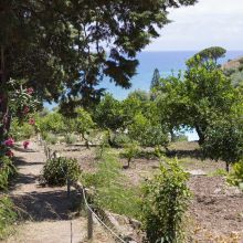 Villa Cefalù_countryside Villa Cefalù_countryside