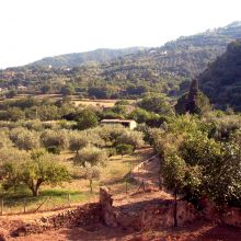 Country apartments Patti_view Country apartments Patti_view