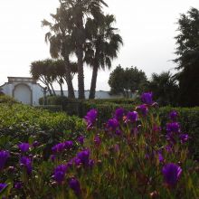 Agriturismo Gallipoli_garden Agriturismo Gallipoli_garden