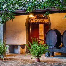 Wine resort Etna East Wine resort Etna East